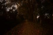 DSC_0199.JPG